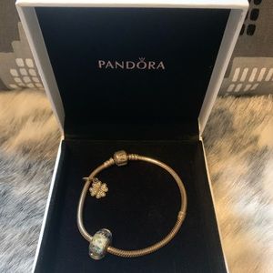 Pandora Bracelet with Shamrock Charm & Blue Bead